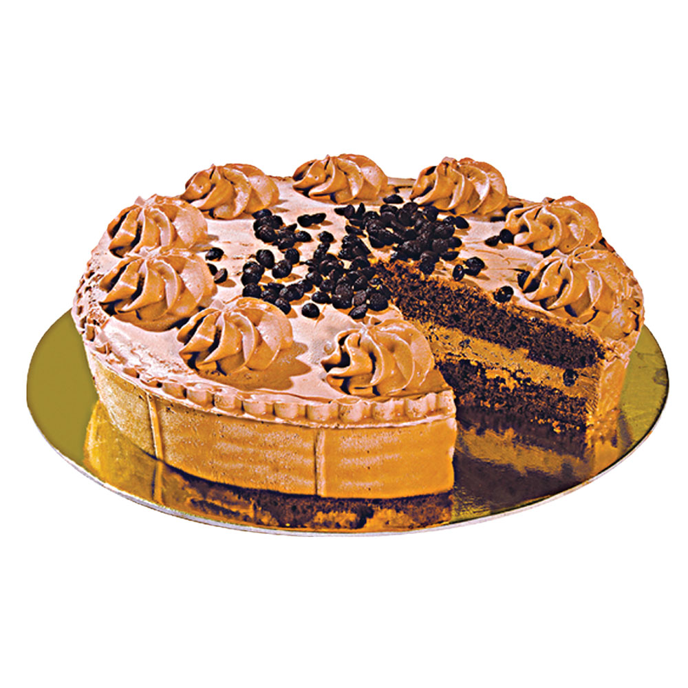 Gateau Frozen Chocolate