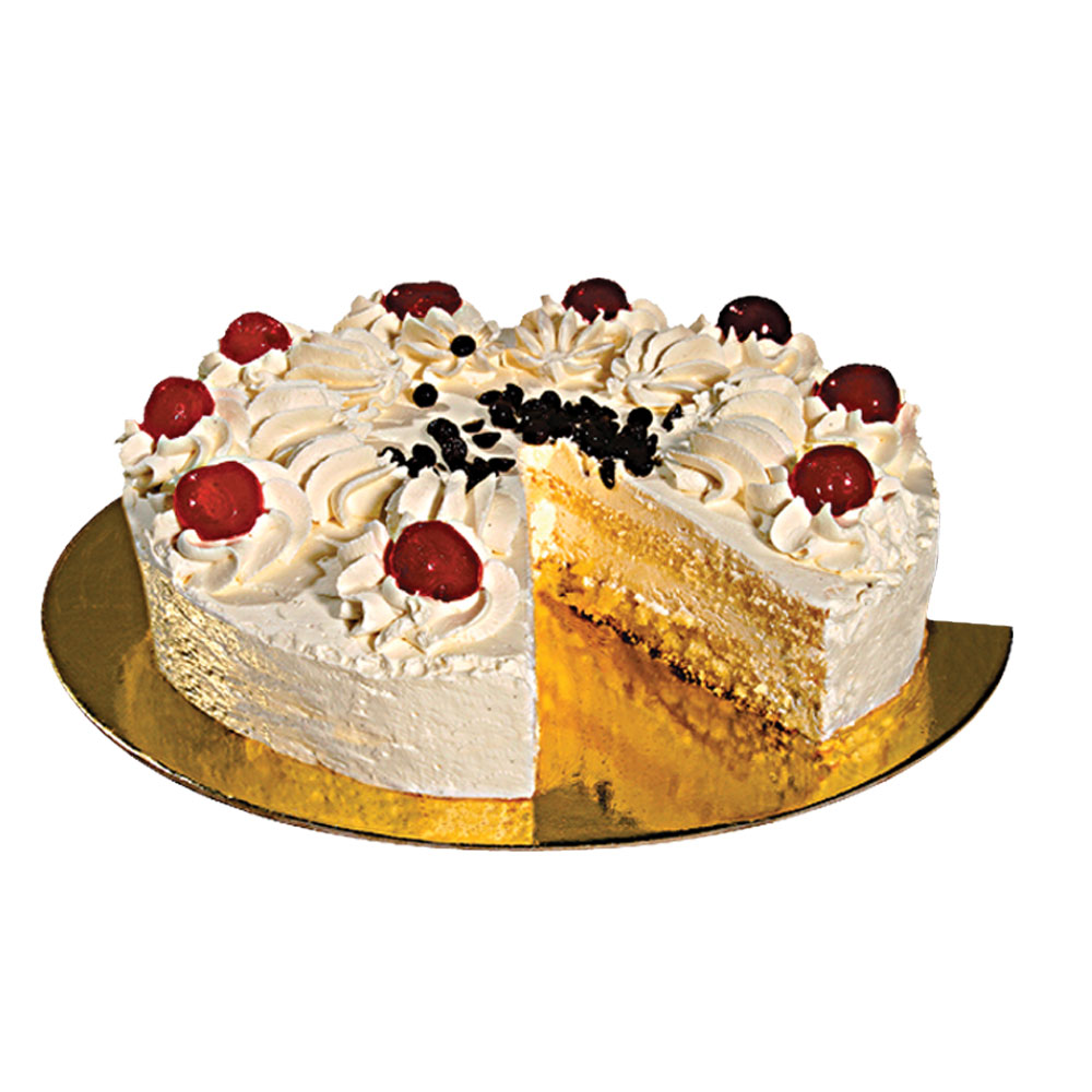 Gateau Frozen Vanilla
